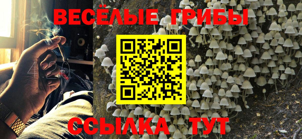 Галлюциногенные грибы GOLDEN TEACHER Богородицк